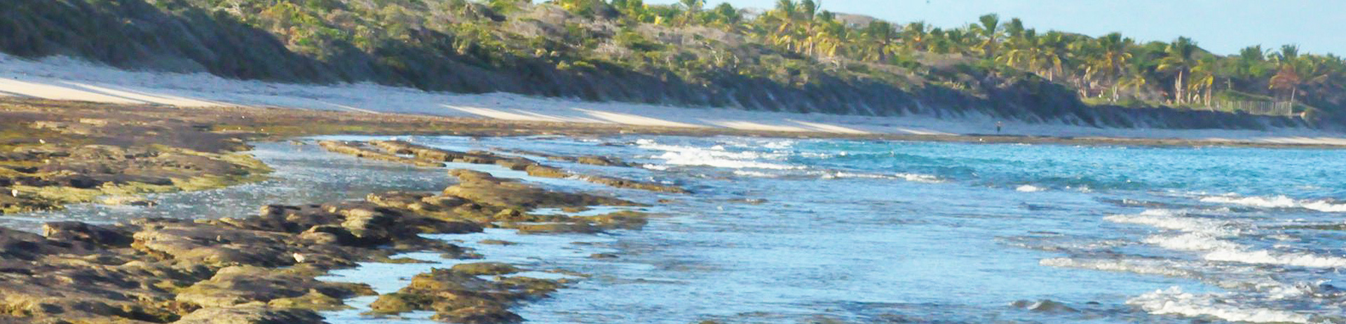 Praia do Francês