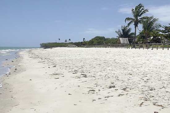 Barra de Santo Antonio