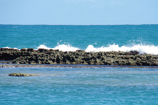 Barra de São Miguel