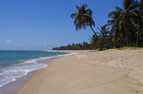 Barra de São Miguel