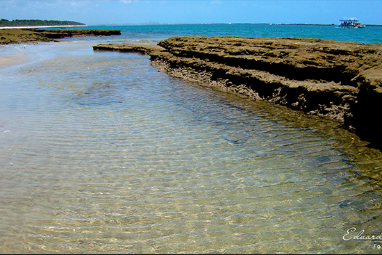 Praia do Francês